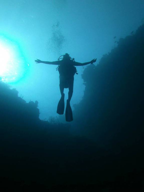Incrível mergulho no Marilyn's Cut, em Little Cayman, nas Ilhas Caiman